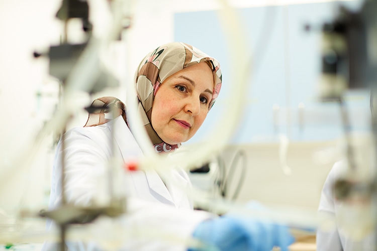 Faculty of Science and Engineering